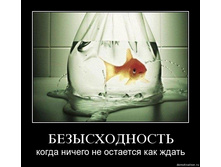 19.11.2009 9:46:35