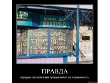 19.11.2009 9:48:26