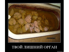 19.11.2009 9:58:57