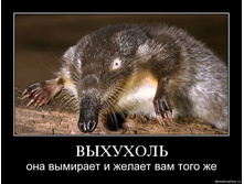 19.11.2009 9:59:01