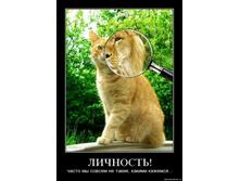 19.11.2009 10:01:08