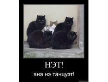 19.11.2009 10:01:51