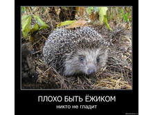 19.11.2009 10:02:09