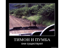 19.11.2009 10:02:32
