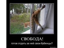 19.11.2009 10:03:18
