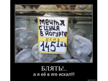 19.11.2009 10:03:33