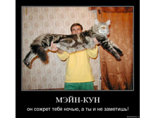 19.11.2009 10:03:36