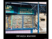 19.11.2009 10:04:36
