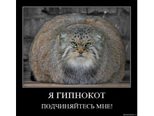 19.11.2009 10:05:36