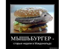 19.11.2009 10:06:27