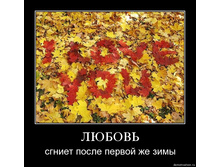 19.11.2009 10:06:29