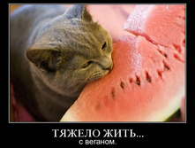 19.11.2009 10:25:33