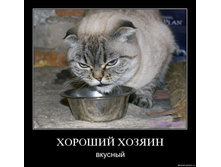 19.11.2009 10:25:38