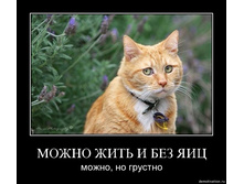 19.11.2009 10:26:06