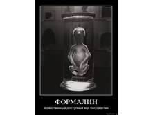 19.11.2009 10:26:07