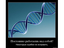 19.11.2009 10:26:19