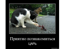 19.11.2009 10:26:51