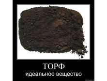 19.11.2009 10:30:14