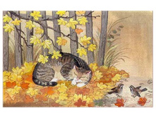 19.11.2009 11:41:00