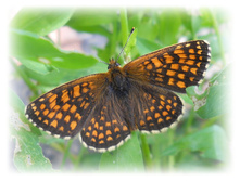 DSCN3724.JPG