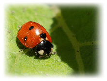 DSCN3734.JPG