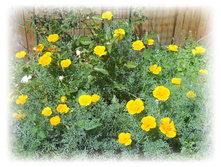 DSCN3735.JPG