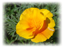 DSCN3736.JPG