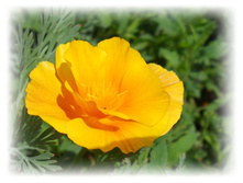 DSCN3740.JPG