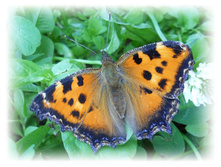 DSCN3753.JPG