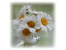 ������� �� ������� :) DSCN3760.JPG