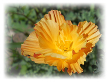 DSCN3813.JPG