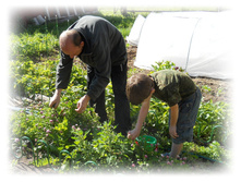 DSCN3821.JPG