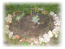 DSCN3825.JPG