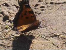 2012-06-23_16-19-29_749.jpg