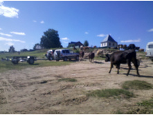 2012-06-23_16-34-49_757.jpg