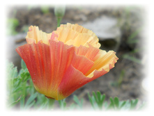 DSCN3849.JPG