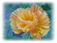 DSCN3850.JPG