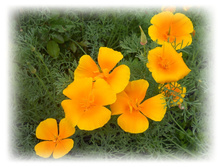 DSCN3852.JPG
