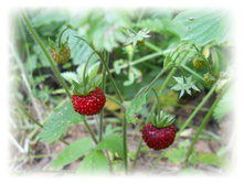DSCN3862.JPG