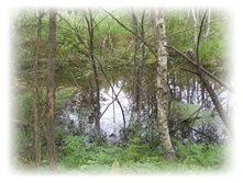 DSCN3864.JPG