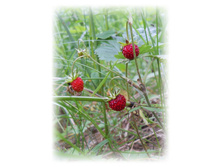 DSCN3866.JPG