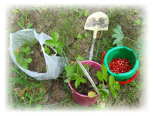 ��� \"����\" :) DSCN3884.JPG