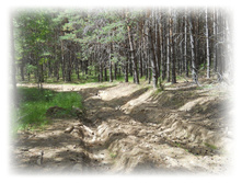 DSCN3891.JPG