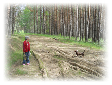 DSCN3893.JPG