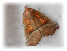 DSCN3905.JPG