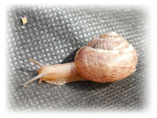 DSCN3913.JPG