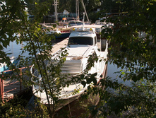 IMG_0323.jpg