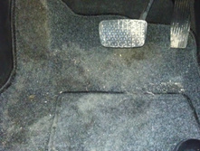 IMAG0325.jpg