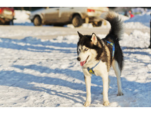 OK-DSC_3539.jpg