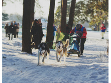 OK-DSC_3574.jpg
